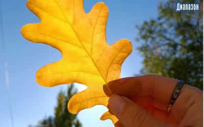 Погода в Актобе на 18-20 октября. Снег и дождь обещают синоптики