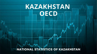 ОЭСР подтвердил высокое качество статистической системы Казахстана