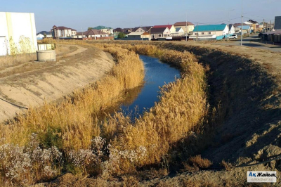 Реанимация ерика Мостового оказалась экономически нецелесообразной