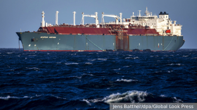 Учёный Яфи заявил об угрозе массовой гибели российских перелетных птиц