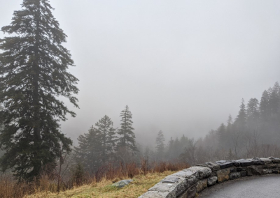 Казгидромет сообщил о заморозках, тумане и штормовом ветре в регионах Казахстана