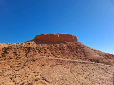 Здесь до сих пор находят останки динозавров